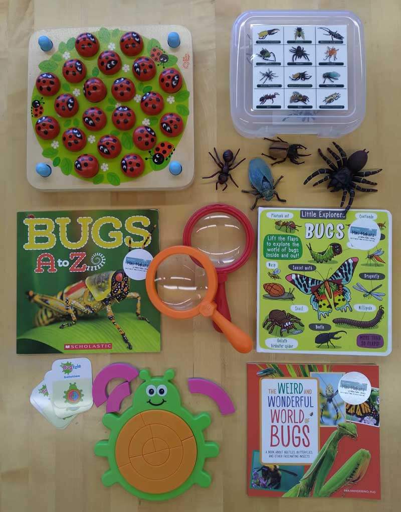 Bugs Mini-Maker Kit