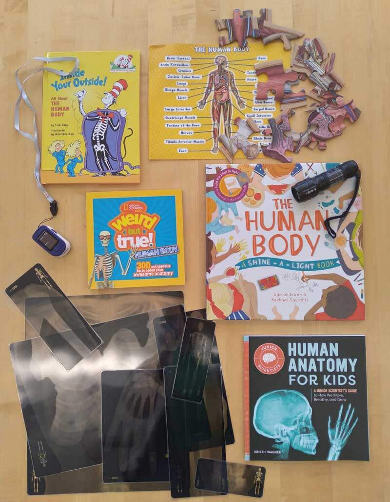 Human Body Mini-Maker Kit