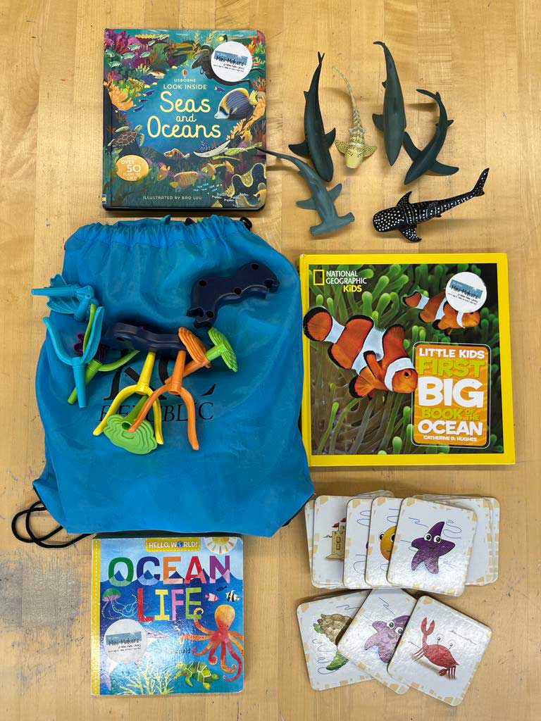 bag with ocean exploration cards, books and figures