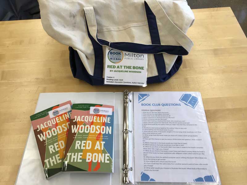 Red At the Bone Book Club