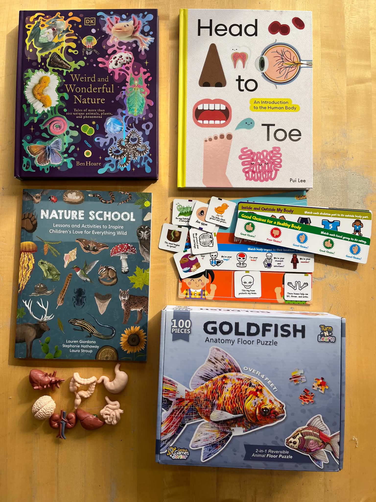 Knitting and Crocheting Mini-Maker Kit